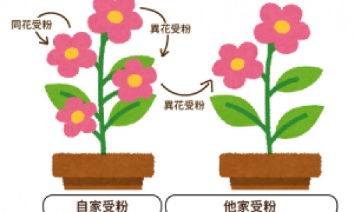 泡泡染发剂和染发膏的区别-权威泡泡染发剂和染发膏的区别平台,分享专业泡泡染发剂和染发膏的区别知识_泡泡染发剂弄脸上网