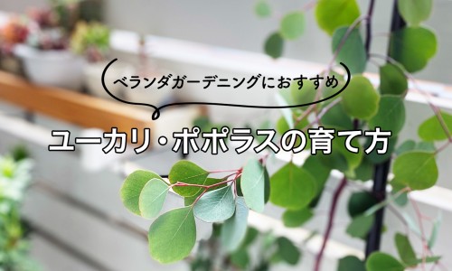 权威泡泡染发剂和染发膏的区别平台,分享专业泡泡染发剂和染发膏的区别知识_泡泡染发剂弄脸上网